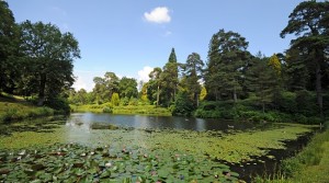 Group Travel Organisers’ 2021 Preview at Leonardslee Lakes and Gardens