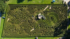 Short Back and Sides for Hedge Maze