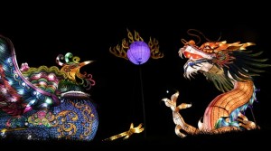 Award-winning Yorkshire Wildlife Park unveils Christmas magic as spectacular light and lantern festival commences