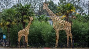 The Magic of Christmas at ZSL London Zoo