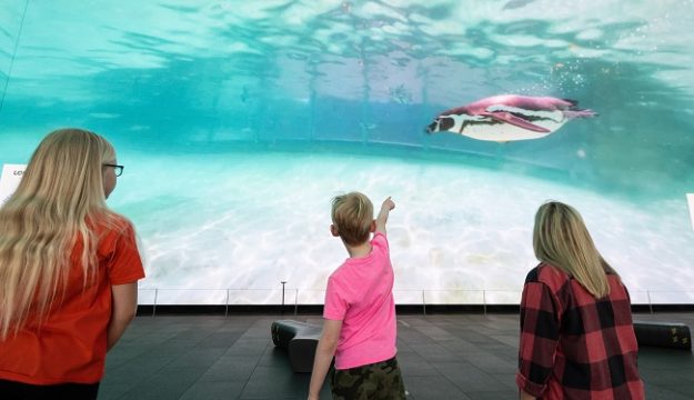 London Zoo Unveils Incredible New Experience