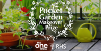 Garden Makeover Prize returns