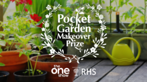 Garden Makeover Prize returns